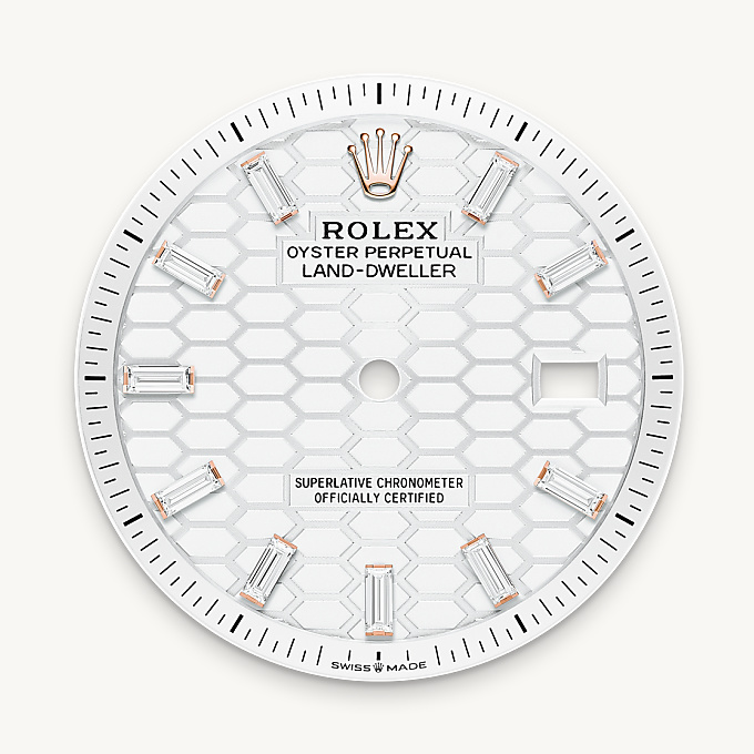 Rolex Land-Dweller 36, Intense white dial