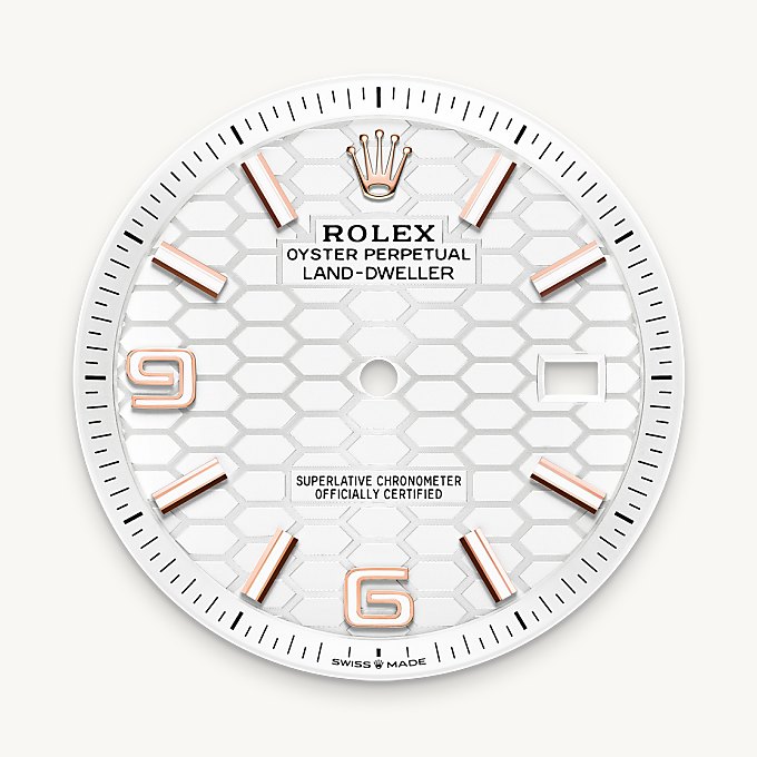 Rolex Land-Dweller 40, Intense white dial