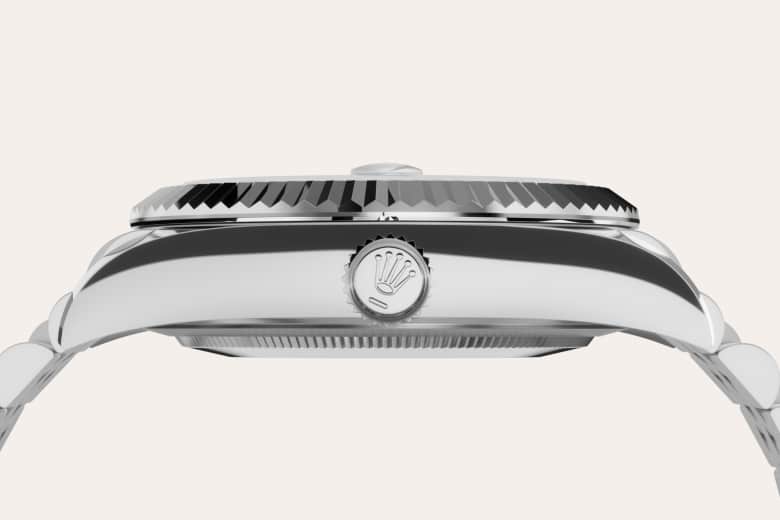 Rolex Sky-Dweller, White Rolesor