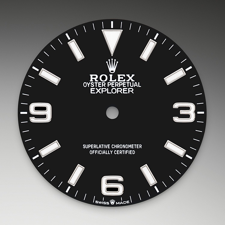 Escala taquimétricar Rolex Explorer oro Blanco en Relojería Alemana