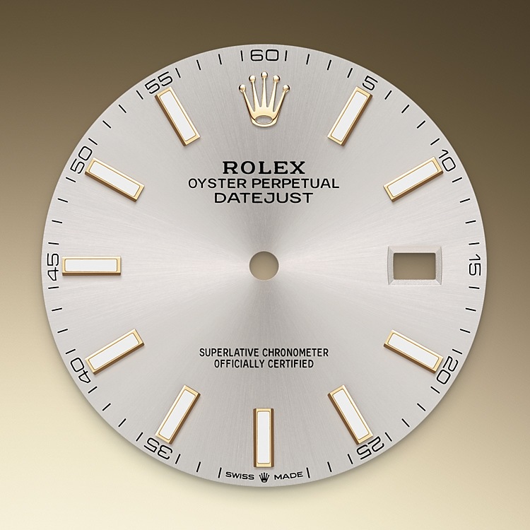 Silver dial Rolex Datejust 41 in Relojería Alemana