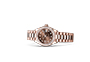 Rolex watch Lady-Datejust Everose gold and diamonds and  chocolate dial set with diamonds in Relojería Alemana