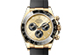 Rolex Cosmograph Daytona yellow gold and Golden and bright black dial  in Relojería Alemana