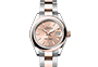 Rolex Lady-Datejust Oystersteel and Everose gold, and Rosé-colour dial  in Relojería Alemana