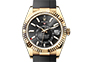 Rolex Sky-Dweller white gold and Bright black and steel dial in Relojería Alemana
