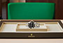 Presentación watchdesk reloj Rolex Sea-Dweller de acero Oystersteel, oro amarillo y esfera negra en Relojería Alemana