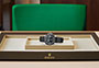 Presentation reloj Rolex Yacht-Master 42 white gold and falcon’s eye dial  in Relojería Alemana