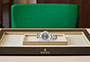 Presentación el reloj Rolex Yacht-Master 37 de acero Oystersteel y platino y esfera pizarra en Relojería Alemana