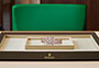Presentation reloj Rolex Lady-Datejust Everose gold and diamonds and  Diamond-paved dial in Relojería Alemana