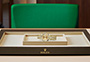 Presentación reloj Rolex Lady-Datejust oro amarillo y esfera color champagne engastada de diamantes en Relojería Alemana