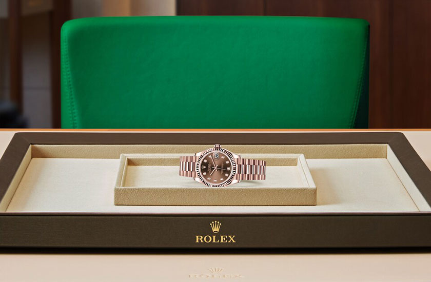 Rolex watch Datejust 31 chocolate dial set with diamonds watchdesk in Relojería Alemana